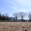 해밀캠핑장 이미지