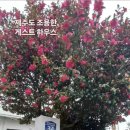 제주도조용한게스트하우스산방산 이미지