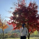 국립산림치유원(영주) 방문 후기 2편(산책로, 치유 장비 체험)