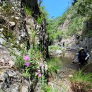 영덕 팔각산 이미지