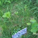 장정농장 이미지