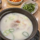 그냥개가좋아