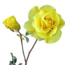 광천남길 이미지