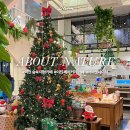 오천로 | 이천 숲속 대형카페 베이커리도 팔아요 | 어바웃네이처