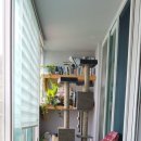 장림벽산아파트 이미지