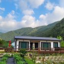 왕피천힐링팜 이미지