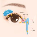 신생아 과도한 눈꼽/눈물길 막힘 및 눈물길마사지/안과 진료/치유 후기