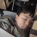 누리농장 | 평화누리캠핑장 장박 일기 1주차 (셋팅+장박비용)