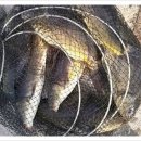 활주로낚시터 이미지