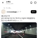 남산3호터널에서 차선 하나 막아두고 웨딩촬영한 예비부부 이미지