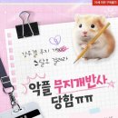[도서 리뷰] 악플 무지개반사 당함 - 죄송한취향 작가
