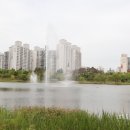 마촌순대국 이미지