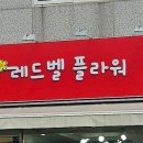 레드벨플라워 이미지