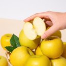 (주)더조은 이미지