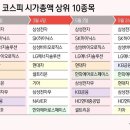 코스피 시총 지각변동…현대차·기아 밀리고, KB금융 5위로 이미지