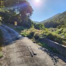 대곡경로당 앞 이미지