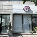 하비펫샵 | 포항 애견 카페, 하비펫샵 &amp; 카페하비