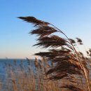 해강냉장 이미지