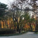 강남근린공원 이미지