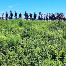 다향화원 이미지