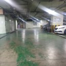 서초권투체육관 이미지