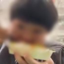 밥줘고기줘