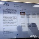환각