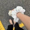 이것저것 후기 / 연작 베이스프렙 / 아닐로 헤어에센스 / 헤이즐모드 팬츠 / 파라다이스 방향제...