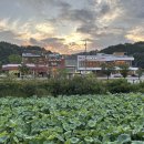 고복자연공원 수변 길 이미지