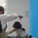 캔디학원