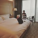 양지파크호텔 이미지