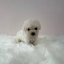 멍앤멍스 이미지