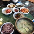 원이조 이미지