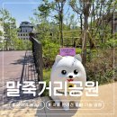 양재느티나무쉼터 | 양재역 놀거리 서울 조용한 공원 추천 반려견 동반 말죽거리공원