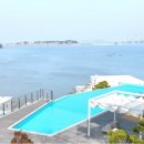 호호용담 이미지