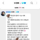 젤라떼리아피오니 이미지