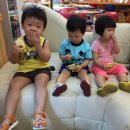 무악다솜방 이미지