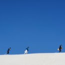 샘스그라지 이미지