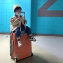 웅치언덕길 | [2020.10] 속초 / 오션뷰 마레몬스호텔 / 제제네식탁 / 바다정원 / 낙산사 / 녹원갈비 / 수성반점...