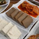 황금코다리 이미지