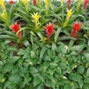 이재두행정사사무소 이미지