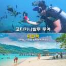 코타키나발루 투어 가야섬 사피섬 마린팩 호핑투어 추천