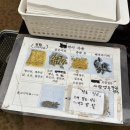 토산죽소농장 | 아이와 함께 다녀오기 좋은 파주 나눔농장 먹이체험