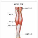 거창정형외과의원 이미지
