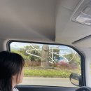 3일차 : 협재칼국수, 한라산 과자점, 왓어브레드, 무지개 해안도로, 렌트카 반납, 제주여행계획 공유...