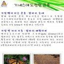 부평숲인천나비공원 한국시민기자협회