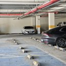 댕장고 | 강원도 대관령 가볼만한곳 대관령 양떼목장 순수 주차장 카페 평창 여행