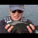 조도초등학교대마분교장 이미지