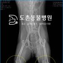 도촌동물병원 이미지