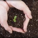 엄지한의원 이미지